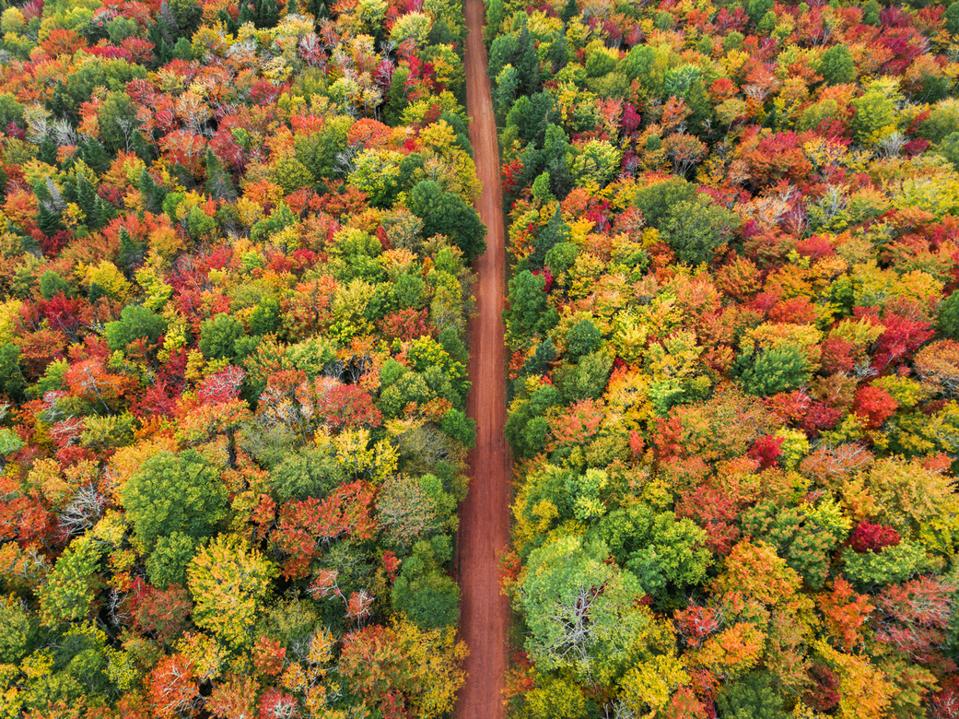 PHOTO by PEI Tourism
